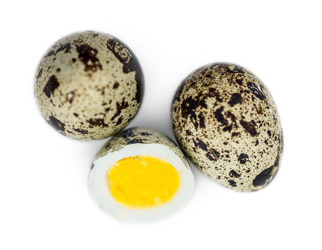 Quail Eggs isolated on white background (selective focus; close-up shot)