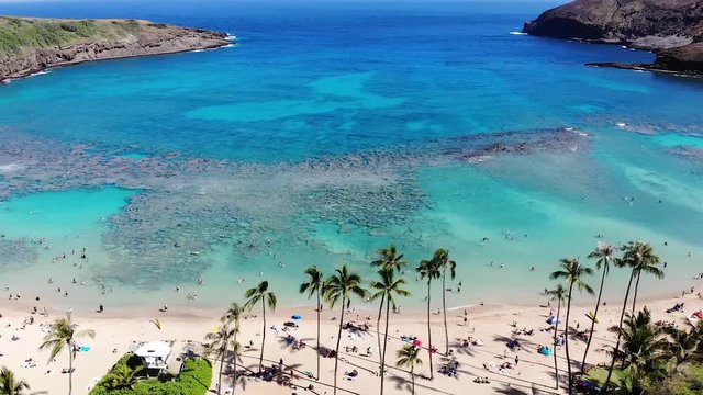 Aerial View of a Hanauma Bay, Oahu, Hawaii