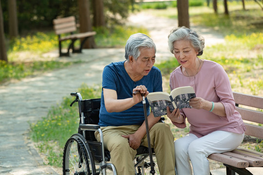 The elderly couple sitting in the park reading a book