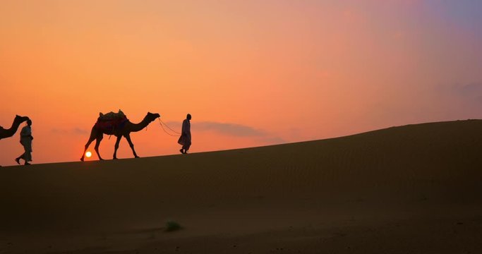 Indian cameleers (camel driver) bedouin with camel silhouettes in sand dunes of Thar desert on sunset. Caravan in Rajasthan travel tourism background safari adventure. Jaisalmer, Rajasthan, India