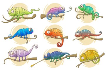 Chameleon lizard icons of reptile animals vector design. Colorful chameleons sitting on branches of exotic tropical forest or jungle tree with long tails, tongues and bright camouflage patterns