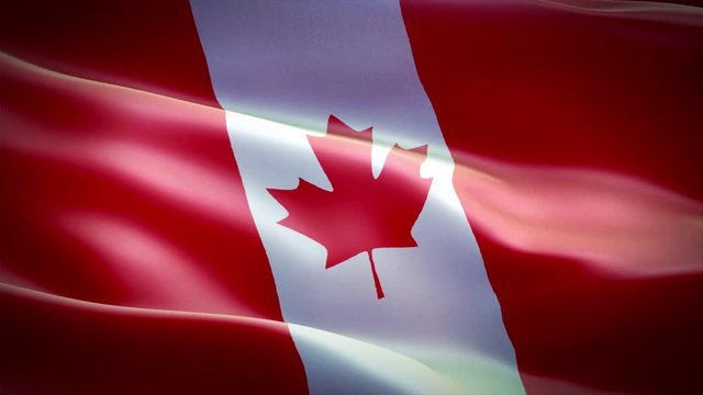 Flag of Canada. Drapeau du Canada