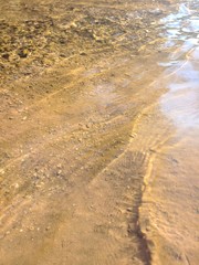 tracks in the sand
