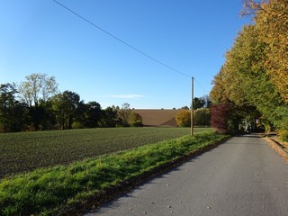 Obraz premium Herbstfoto im Kreis Lippe (NRW)
