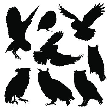 Owl silhouette set. Vector illustration