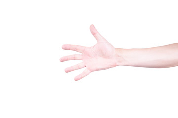 open caucasian palm isolated on a white background. gesturing concept.