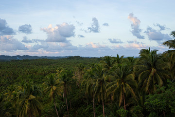 Beautiful clouds over palm jungle on tropical island