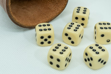 dices and shaker on white background
