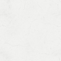 Seamless texture of black and white lines, scratches, dots