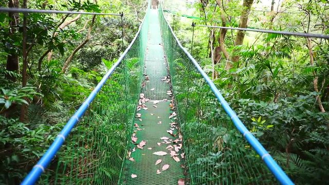 Footage from walking through a hanging bridge in Costa Rica at national park in Guanacaste