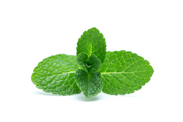 fresh green mint leaves isolated on white background. top view.