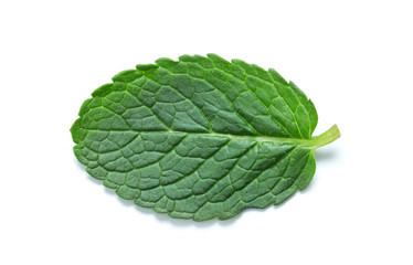 fresh green mint leaves isolated on white background. top view.