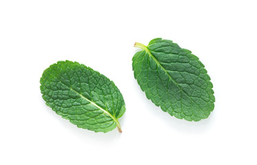 fresh green mint leaves isolated on white background. top view.