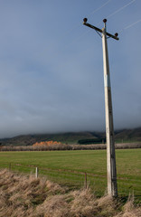 Fototapeta na wymiar Te Anau Downs. South Island New Zealand. Electricity pole.