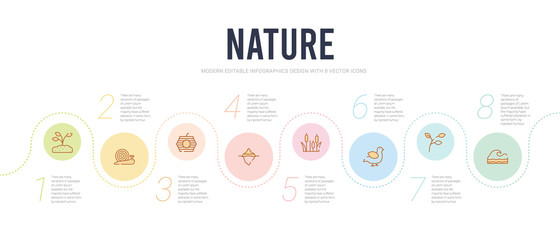 nature concept infographic design template. included waves, branch, bird, reed, iceberg, hive icons