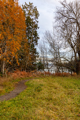 shoreline on bainbridge island with glow from the setting sun
