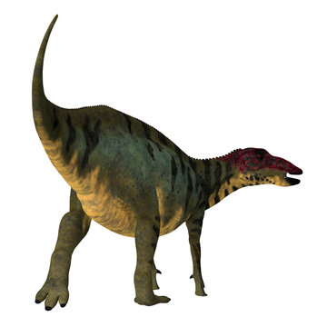 Shuangmiaosaurus Dinosaur Tail - Shuangmiaosaurus was an iguanodont herbivore dinosaur that lived during the Cretaceous Period of China.