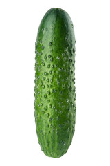 Cucumber isolated on white background