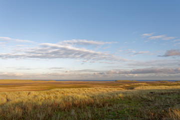 Tayport Heath stretching out to the edge of the North Sea in the distance on a bright December evening, with the golden light on the grass covered dunes.