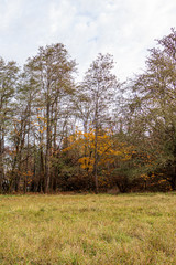Fototapeta premium shoreline on bainbridge island with glow from the setting sun