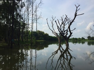 Obraz premium Battambang Cambodge