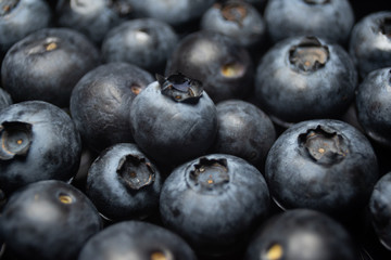 close up of blueberries