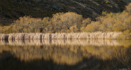 Hilly Landscape near Diamond Lake near Mount Aspiring National Park on the South Island of New...