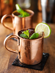 iced cold moscow mule with mint and lime