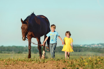 Two happy children girl and boy walking with horse in summer field, holds the reins, bridle in his hand 