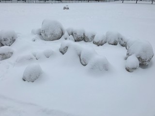 snow stones
