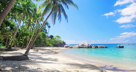 beach and coconut palm trees. Koh Tao, Thailand - Powered by Adobe