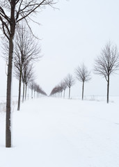 Fototapeta premium Snowdrifts on the country road after a onset of winter
