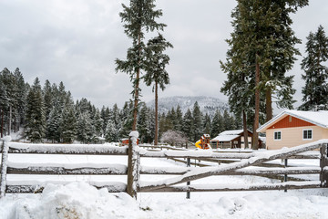 A winter scene of a country ranch home and barn covered in snow in the mountains of Coeur d'alene,...