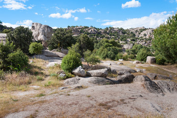 Mountain landscape in sunny day with green trees, rocks and blue sky.