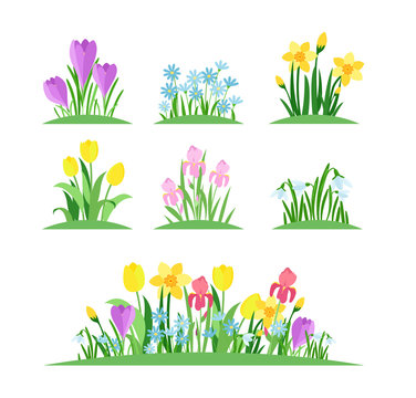 Spring flowers flat vector illustrations set. Garden flowerbeds and green grass pack on white background. Tulips, bellflowers, narcissus twigs and plant branch branches with leaves.