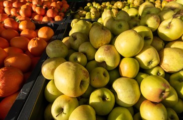 apples and oranges at an outdoor market with sunshine 
