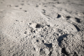 close up of sand texture on the beach
