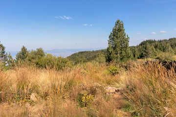 Fototapeta na wymiar Autumn landscape of Vitosha Mountain, Bulgaria