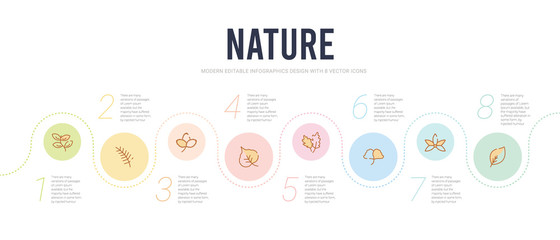 Fototapeta na wymiar nature concept infographic design template. included ovate, palmatelly, ginkgo, pedunculate, cordate, straberry leaf icons