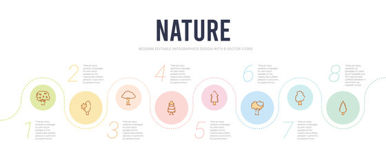 nature concept infographic design template. included eastern cedar tree, sassafras tree, shadbush tree, spruce white spruce sycamore icons