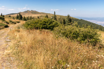 Autumn landscape of Vitosha Mountain, Bulgaria