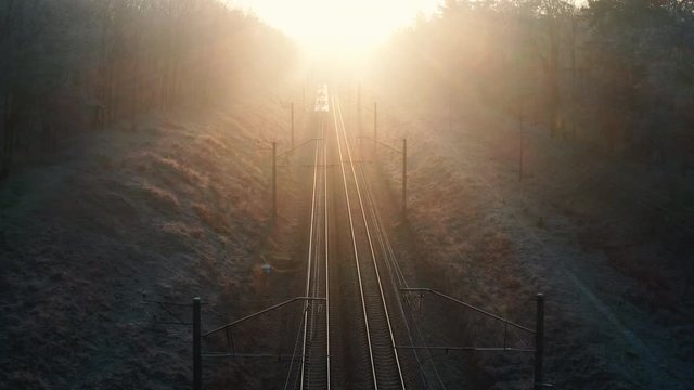 Suburban train goes to sunset through autumn forest.