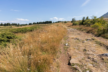 Autumn landscape of Vitosha Mountain, Bulgaria