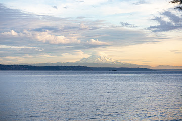 shoreline on bainbridge island with glow from the setting sun