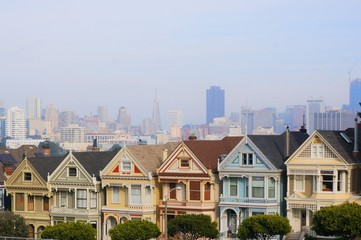 the cityscape from alamo square in san francisco
