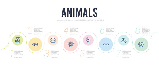 animals concept infographic design template. included moon and bats, boxerhead, wing, hunted, terrarium, pet bed icons