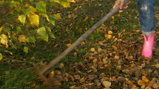 Girl cleans autumn leaves in her yard