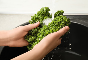 Woman washing fresh kale leaves over sink, closeup