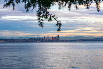 shoreline on bainbridge island with glow from the setting sun