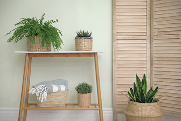 Houseplants in wicker pots indoors. Interior design